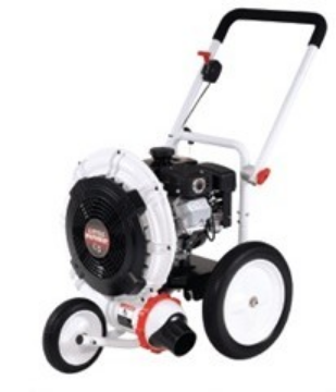 Picture of Leaf Blower (Push Type)