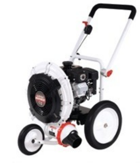 Picture of Leaf Blower (Push Type)